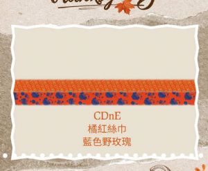 CDnE品牌絲巾